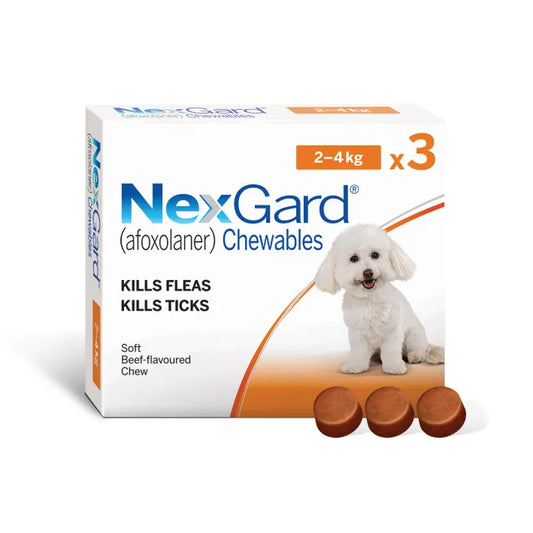 Nexgard Chewable Tablet 3 Pack (2-4kg) - Flea and tick treatment